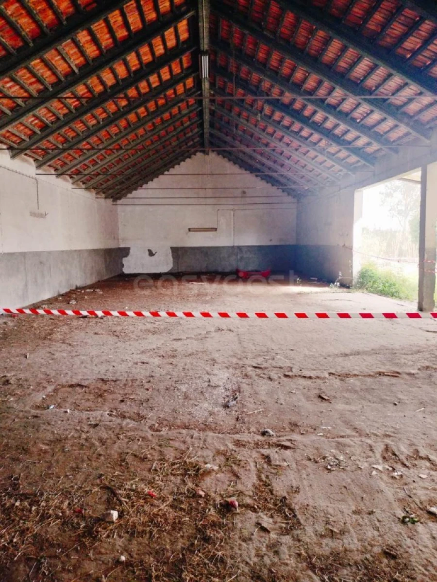 Armazém para Venda em Pegões Foto 1