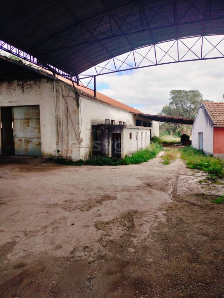 Armazém para Venda em Pegões Foto 5