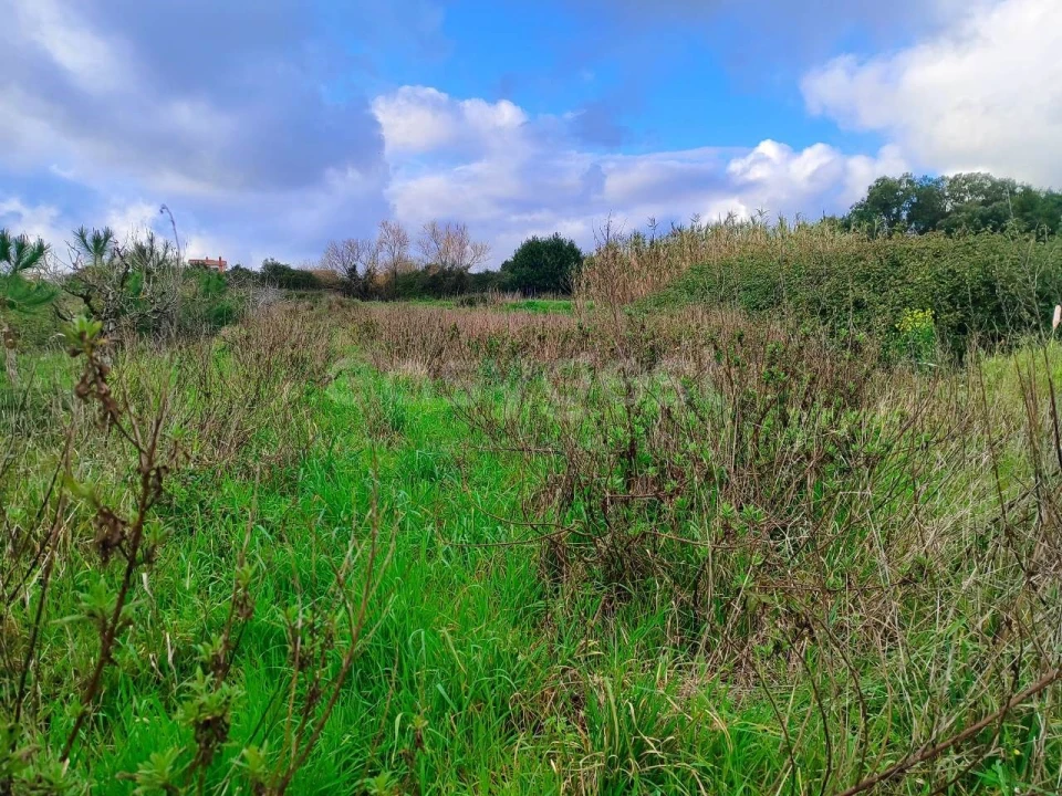 Terreno para Venda em Pataias e Martingança Foto 1