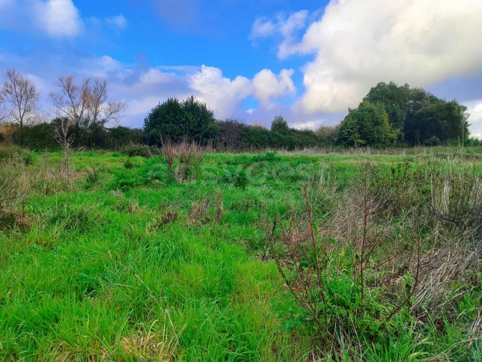 Terreno para Venda em Pataias e Martingança Foto 3