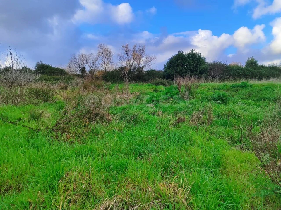 Terreno para Venda em Pataias e Martingança Foto 4