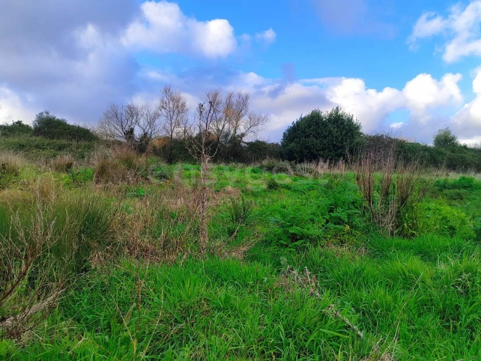 Terreno para Venda em Pataias e Martingança Foto 7