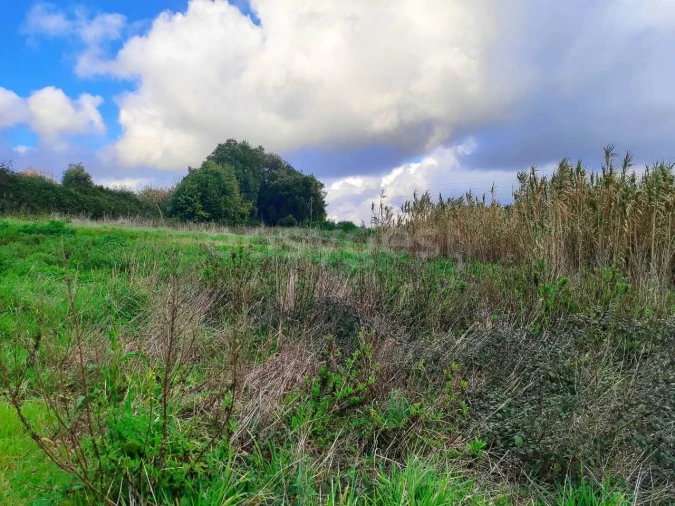 Terreno para Venda em Pataias e Martingança Foto 2