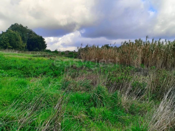 Terreno para Venda em Pataias e Martingança Foto 5
