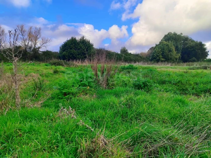Terreno para Venda em Pataias e Martingança Foto 6