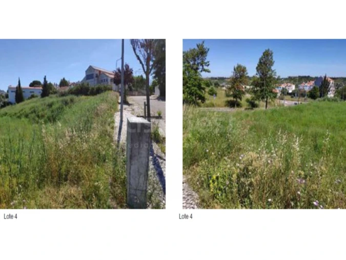 Terreno para Venda em Alcanena e Vila Moreira