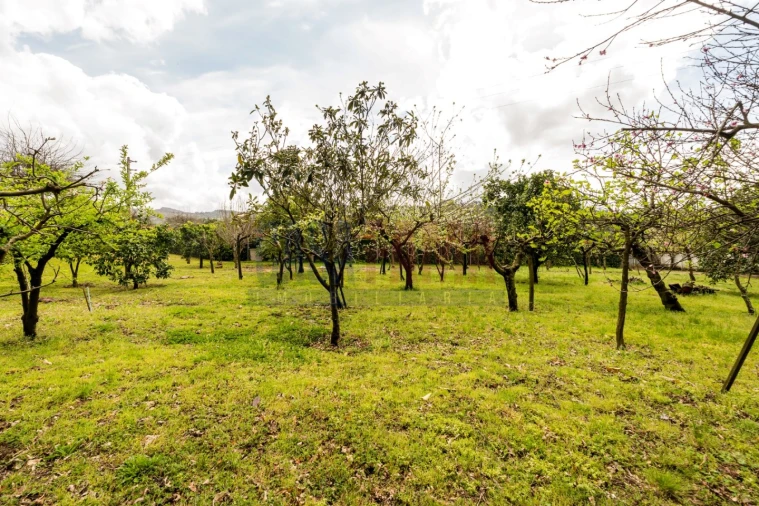 Moradia T6 para Venda em Santa Lucrécia de Algeriz e Navarra Foto 55