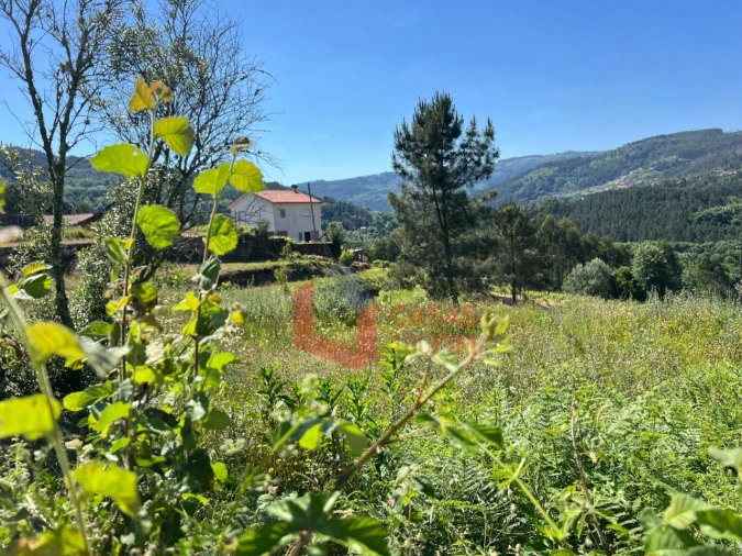 Moradia T6 para Venda em Britelo, Gémeos e Ourilhe Foto 14