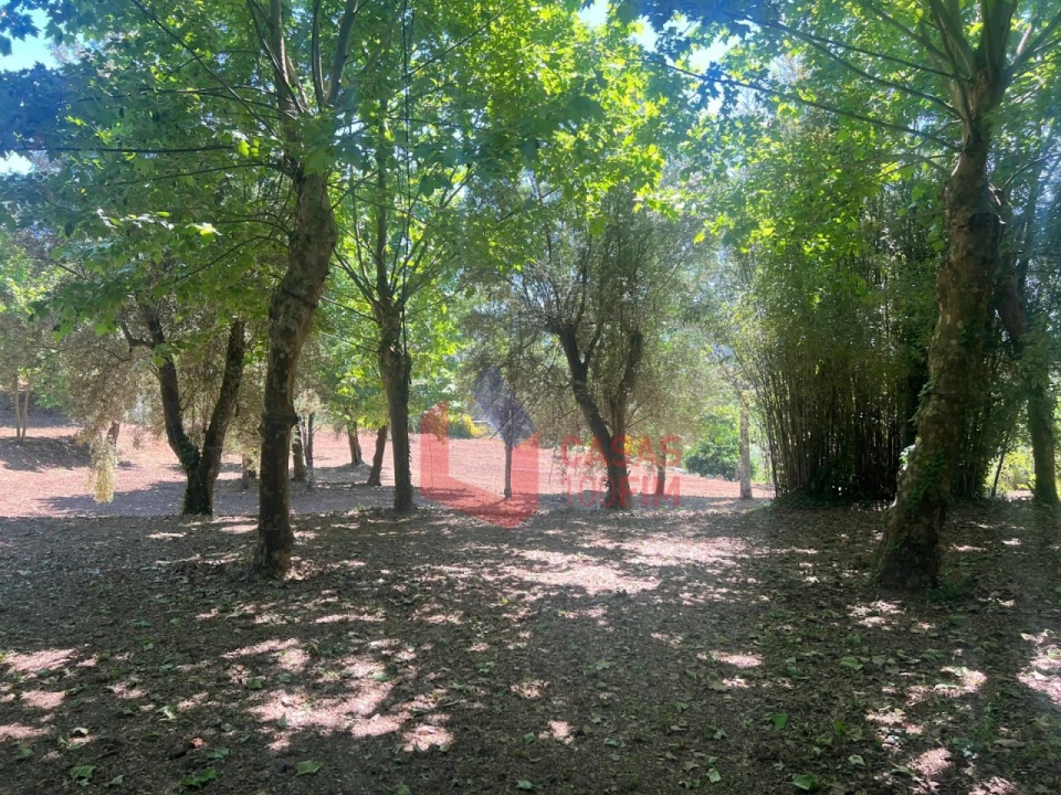 Moradia T2 para Venda em Britelo, Gémeos e Ourilhe Foto 7