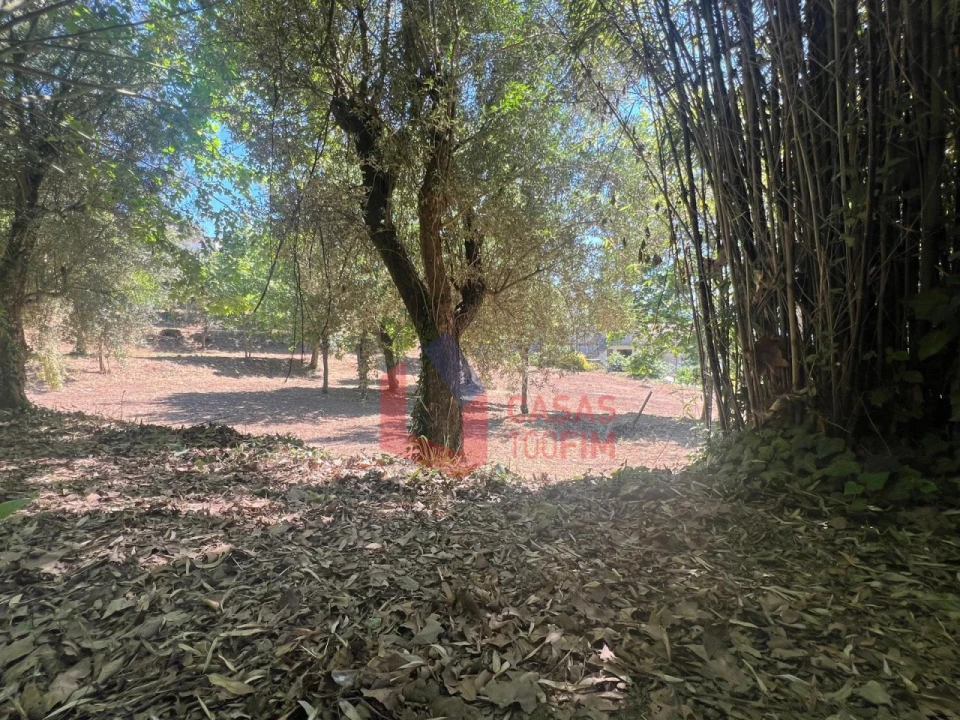 Moradia T2 para Venda em Britelo, Gémeos e Ourilhe Foto 9