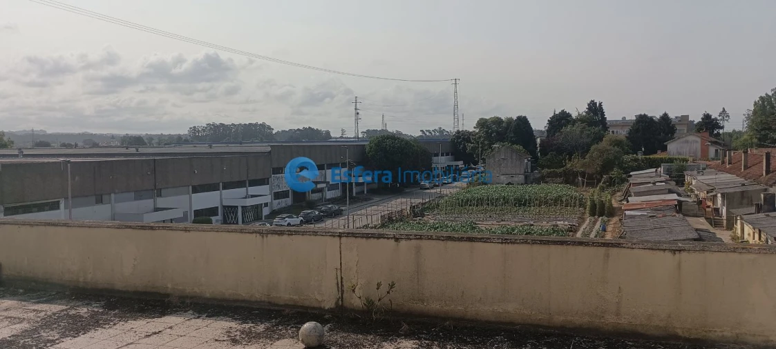 Loja para Venda em Arvore Foto 8