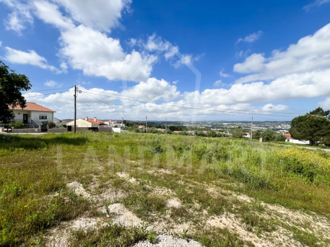 Terreno para Venda em Aljubarrota Foto 4