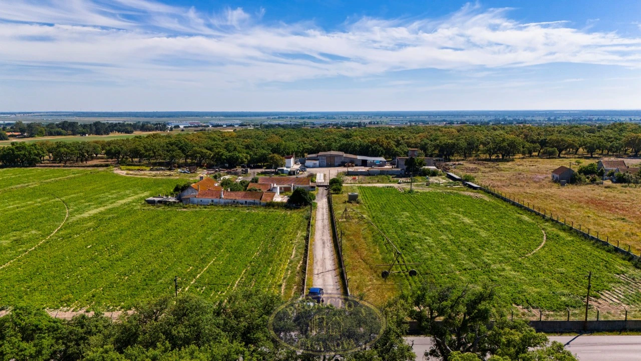 Terreno Agricola ou Rústico para Venda em Alcochete Foto 10