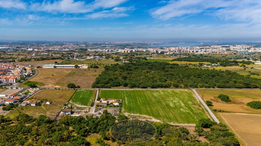 Terreno Agricola ou Rústico para Venda em Alcochete Foto 6