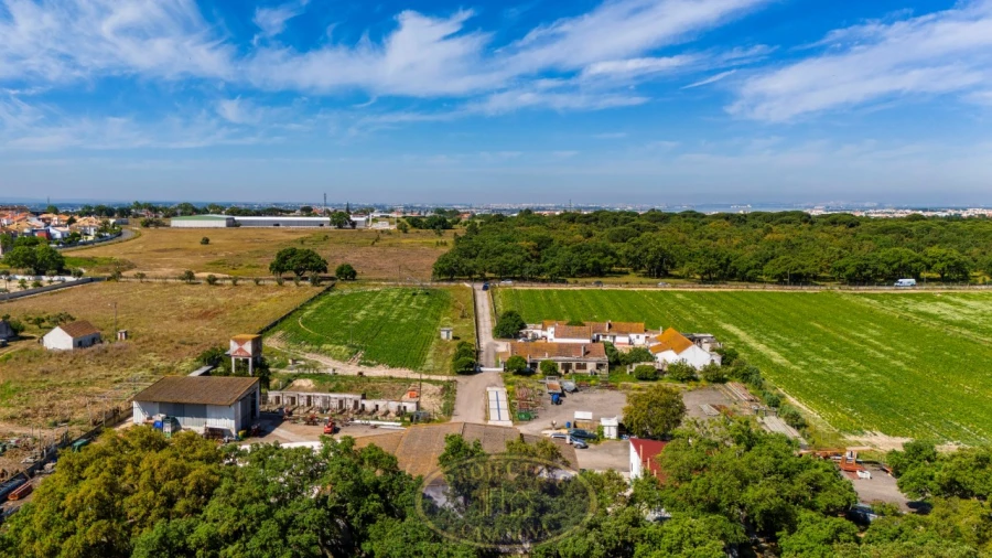 Terreno Agricola ou Rústico para Venda em Alcochete Foto 9