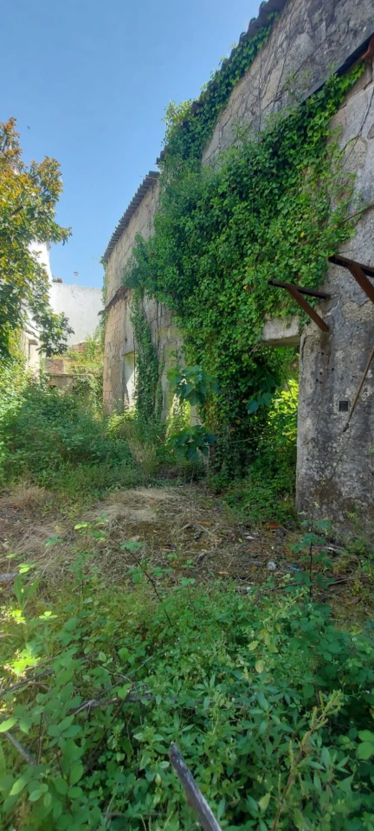 Moradia para Venda em Nogueira do Cravo Foto 3
