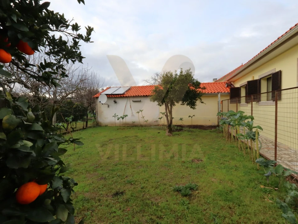 Moradia T4 para Venda em Ardegão, Freixo e Mato Foto 35