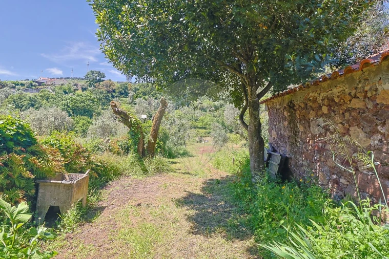 Moradia T2 para Venda em Pousaflores Foto 12