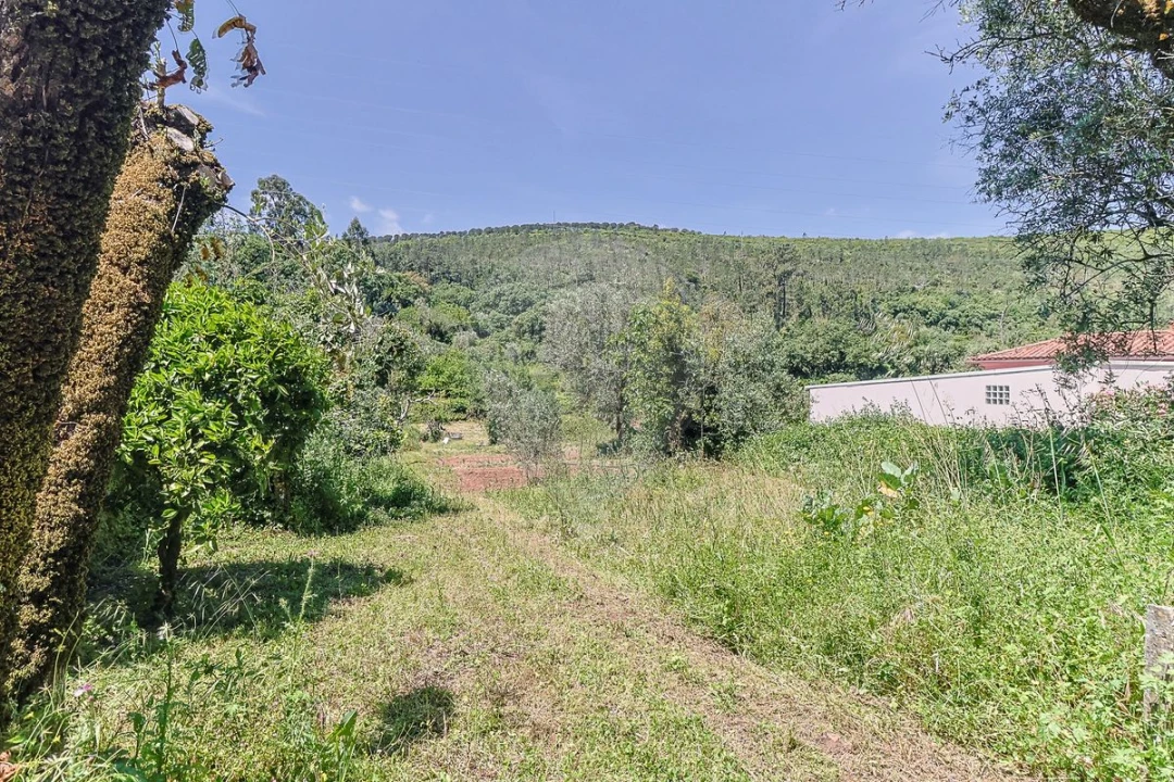 Moradia T2 para Venda em Pousaflores Foto 13