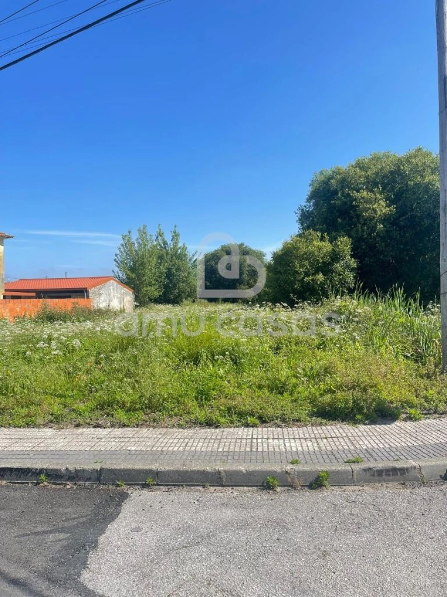 Terreno para Venda em Ílhavo (São Salvador) Foto 5