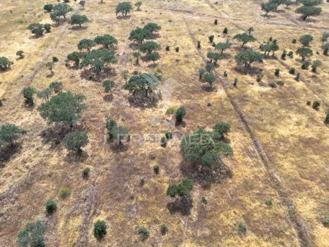 Terreno para Venda em Nossa Senhora da Conceição, São Brás dos Matos, Juromenha Foto 7