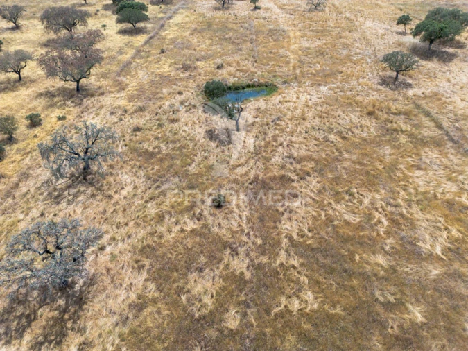 Terreno para Venda em Nossa Senhora da Conceição, São Brás dos Matos, Juromenha Foto 14