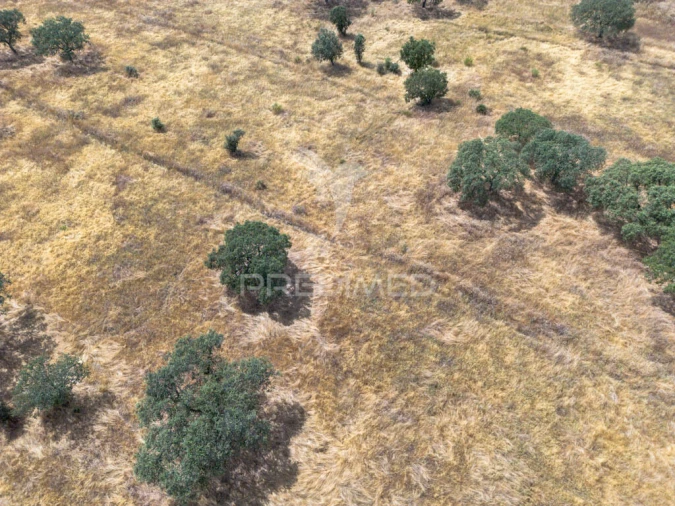 Terreno para Venda em Nossa Senhora da Conceição, São Brás dos Matos, Juromenha Foto 5