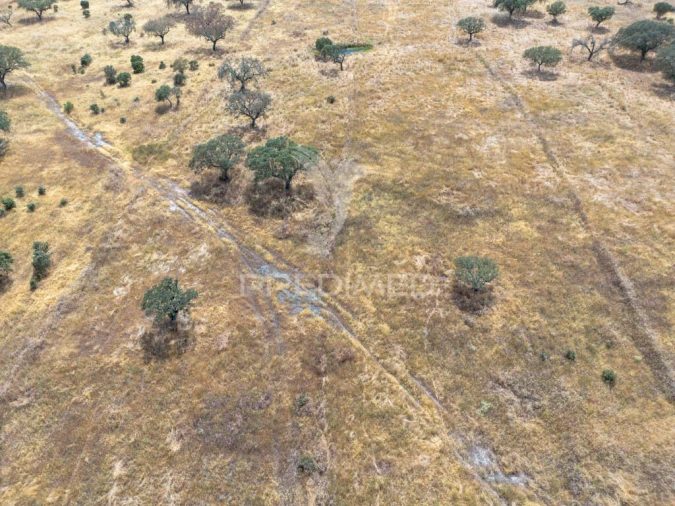 Terreno para Venda em Nossa Senhora da Conceição, São Brás dos Matos, Juromenha Foto 11