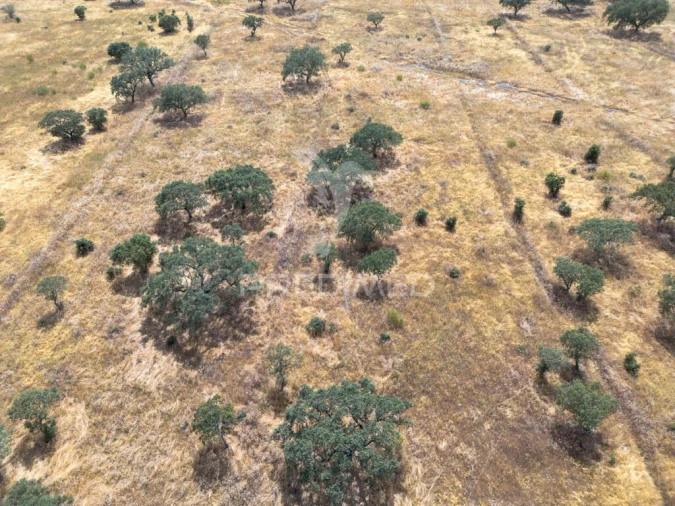 Terreno para Venda em Nossa Senhora da Conceição, São Brás dos Matos, Juromenha Foto 8