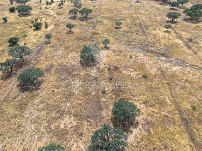 Terreno para Venda em Nossa Senhora da Conceição, São Brás dos Matos, Juromenha Foto 10