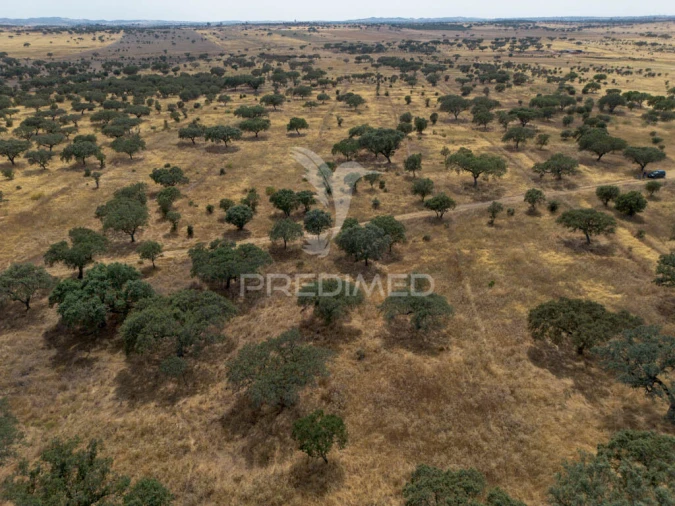 Terreno para Venda em Nossa Senhora da Conceição, São Brás dos Matos, Juromenha Foto 4