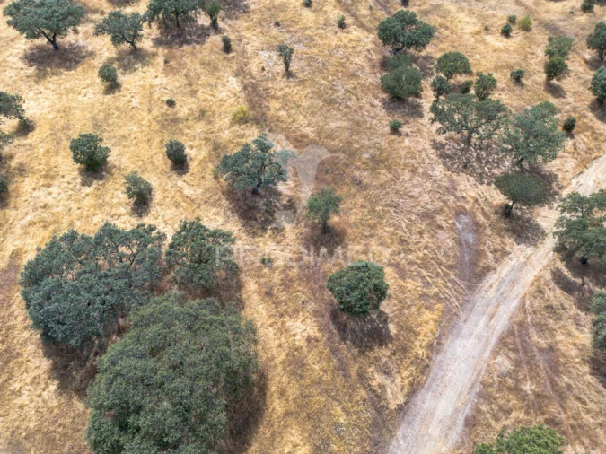 Terreno para Venda em Nossa Senhora da Conceição, São Brás dos Matos, Juromenha Foto 3