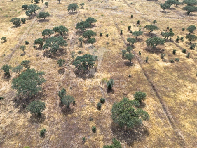 Terreno para Venda em Nossa Senhora da Conceição, São Brás dos Matos, Juromenha Foto 9