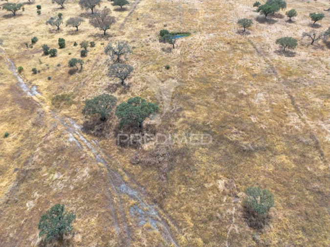 Terreno para Venda em Nossa Senhora da Conceição, São Brás dos Matos, Juromenha Foto 12
