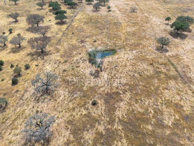 Terreno para Venda em Nossa Senhora da Conceição, São Brás dos Matos, Juromenha Foto 13