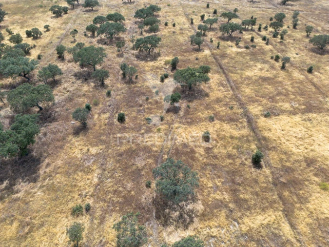 Terreno para Venda em Nossa Senhora da Conceição, São Brás dos Matos, Juromenha Foto 6