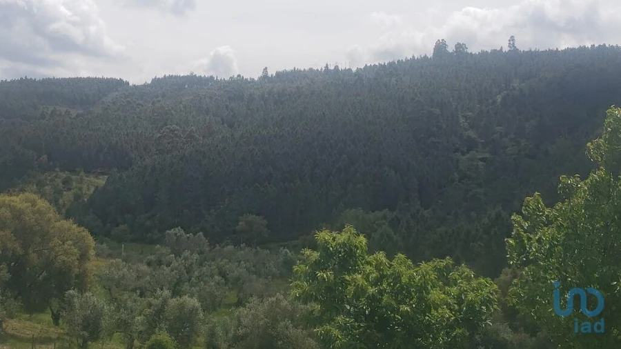 Terreno para Venda em Cardigos Foto 2