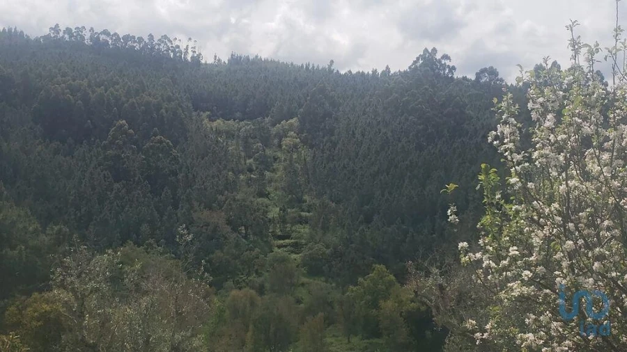 Terreno para Venda em Cardigos Foto 1