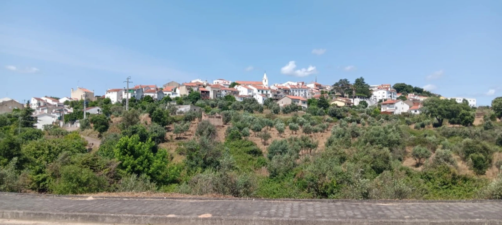 Terreno para Venda em Mação, Penhascoso e Aboboreira Foto 9