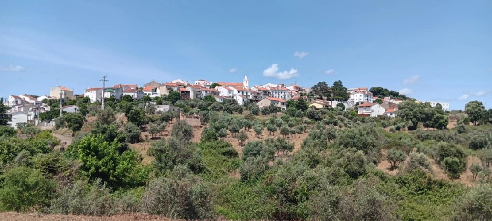 Terreno para Venda em Mação, Penhascoso e Aboboreira Foto 10