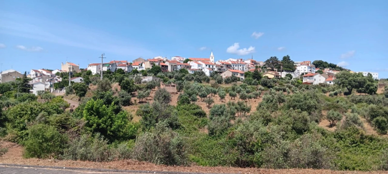 Terreno para Venda em Mação, Penhascoso e Aboboreira Foto 11