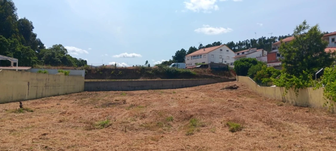 Terreno para Venda em Mação, Penhascoso e Aboboreira Foto 13