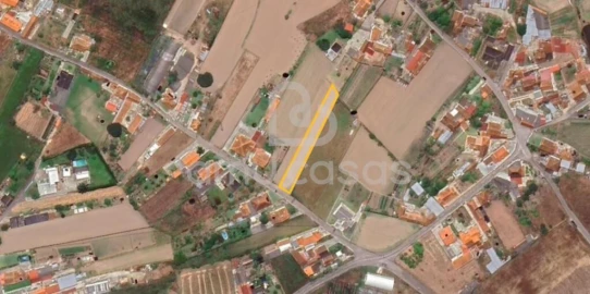 Terreno para Venda em Avanca
