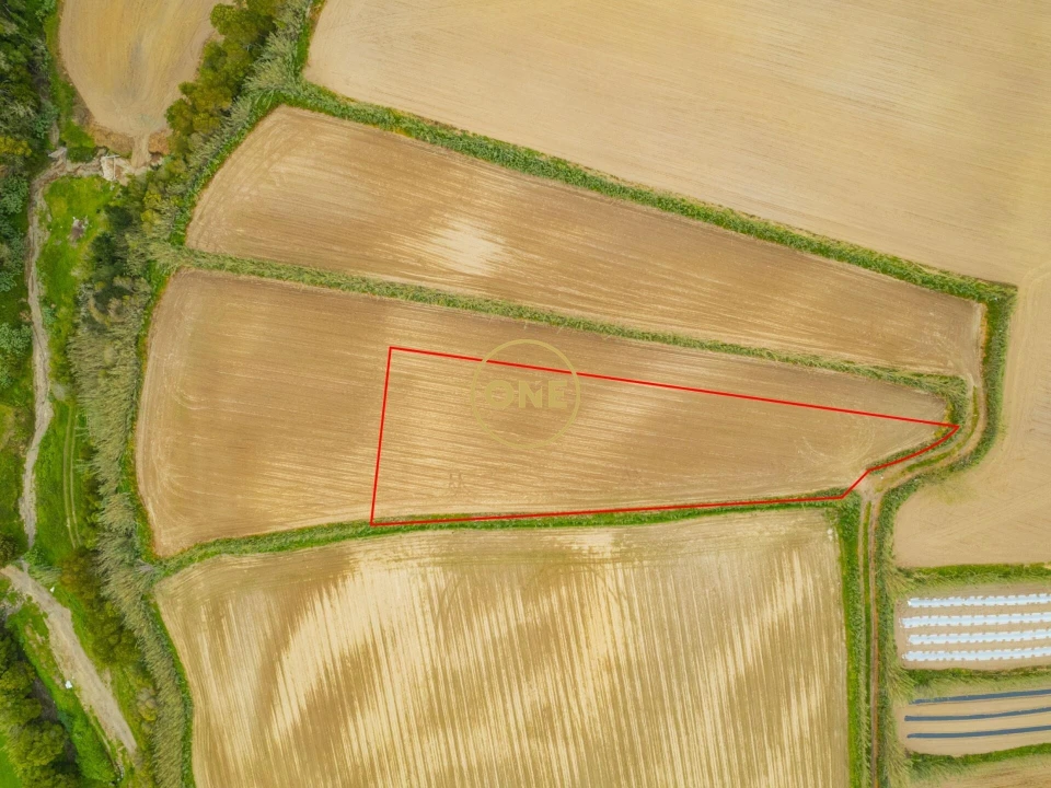 Terreno para Venda em Feteiras Foto 2