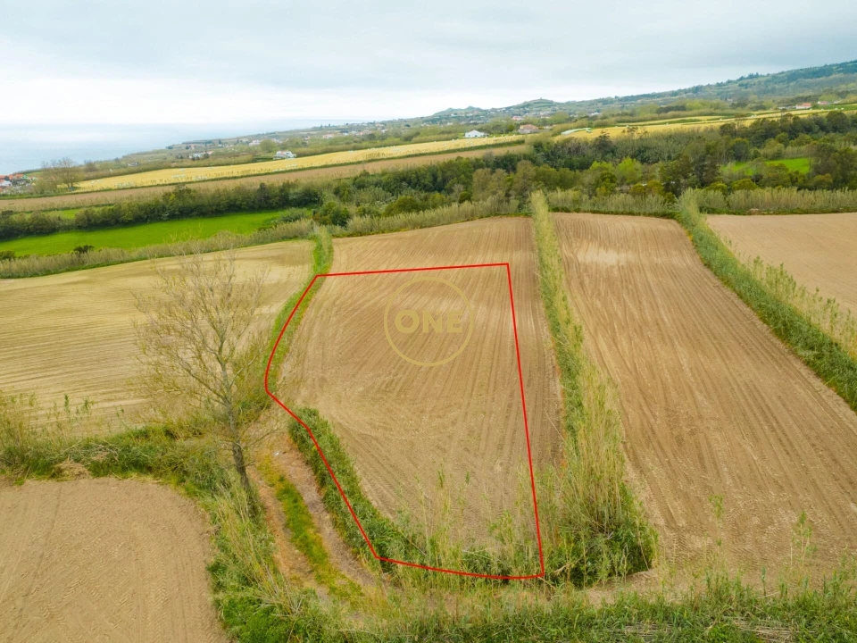 Terreno para Venda em Feteiras Foto 3