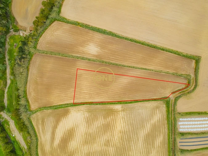 Terreno para Venda em Feteiras Foto 2