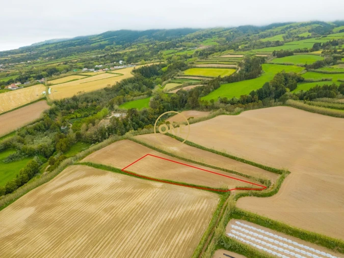 Terreno para Venda em Feteiras