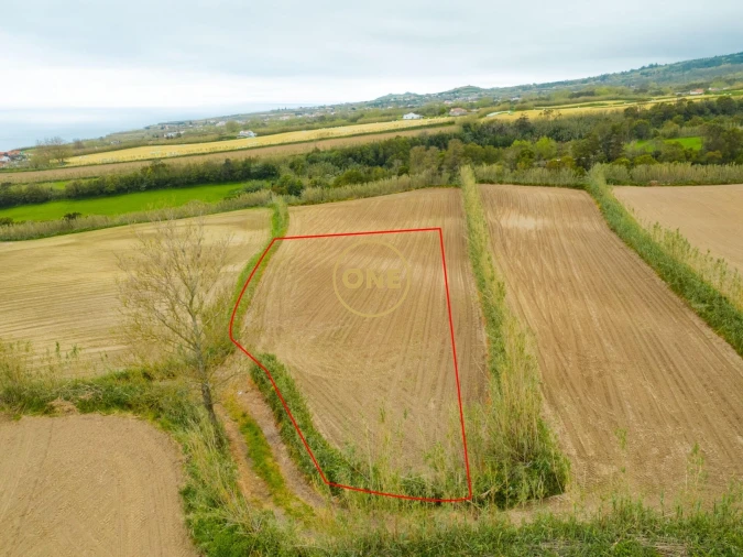 Terreno para Venda em Feteiras Foto 3