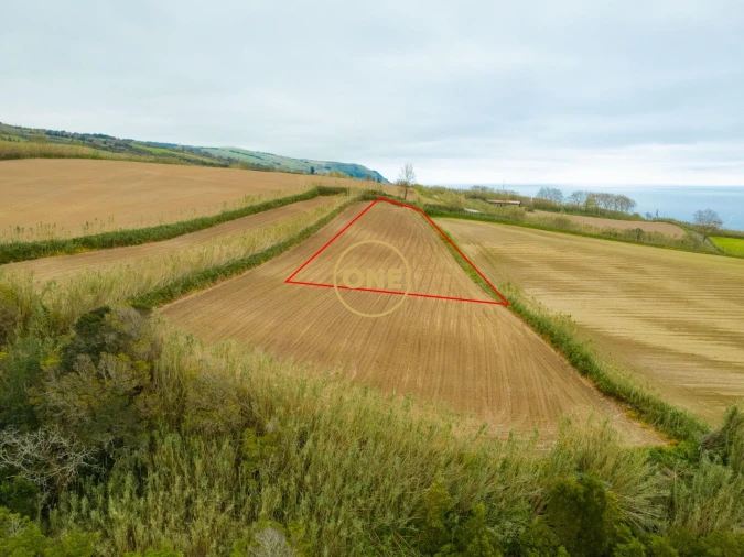 Terreno para Venda em Feteiras Foto 4