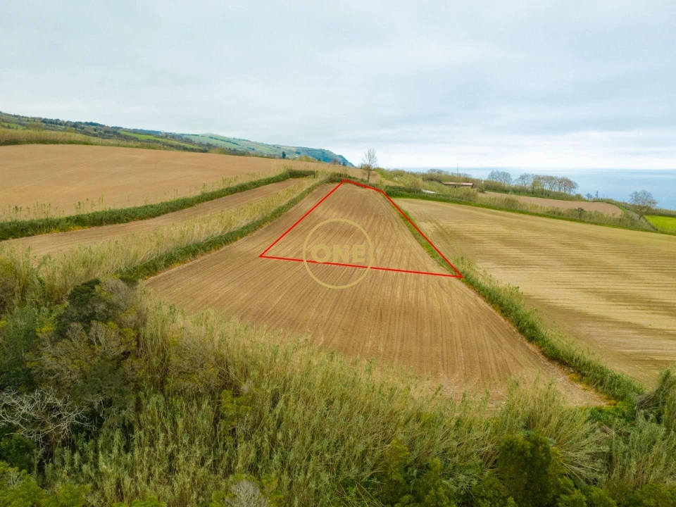 Terreno para Venda em Feteiras Foto 4